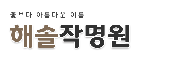 해솔작명원_로고